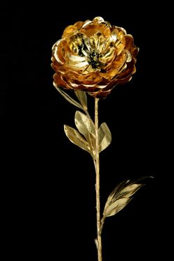 Immagine di Peonia metallic oro, 
h.cm100